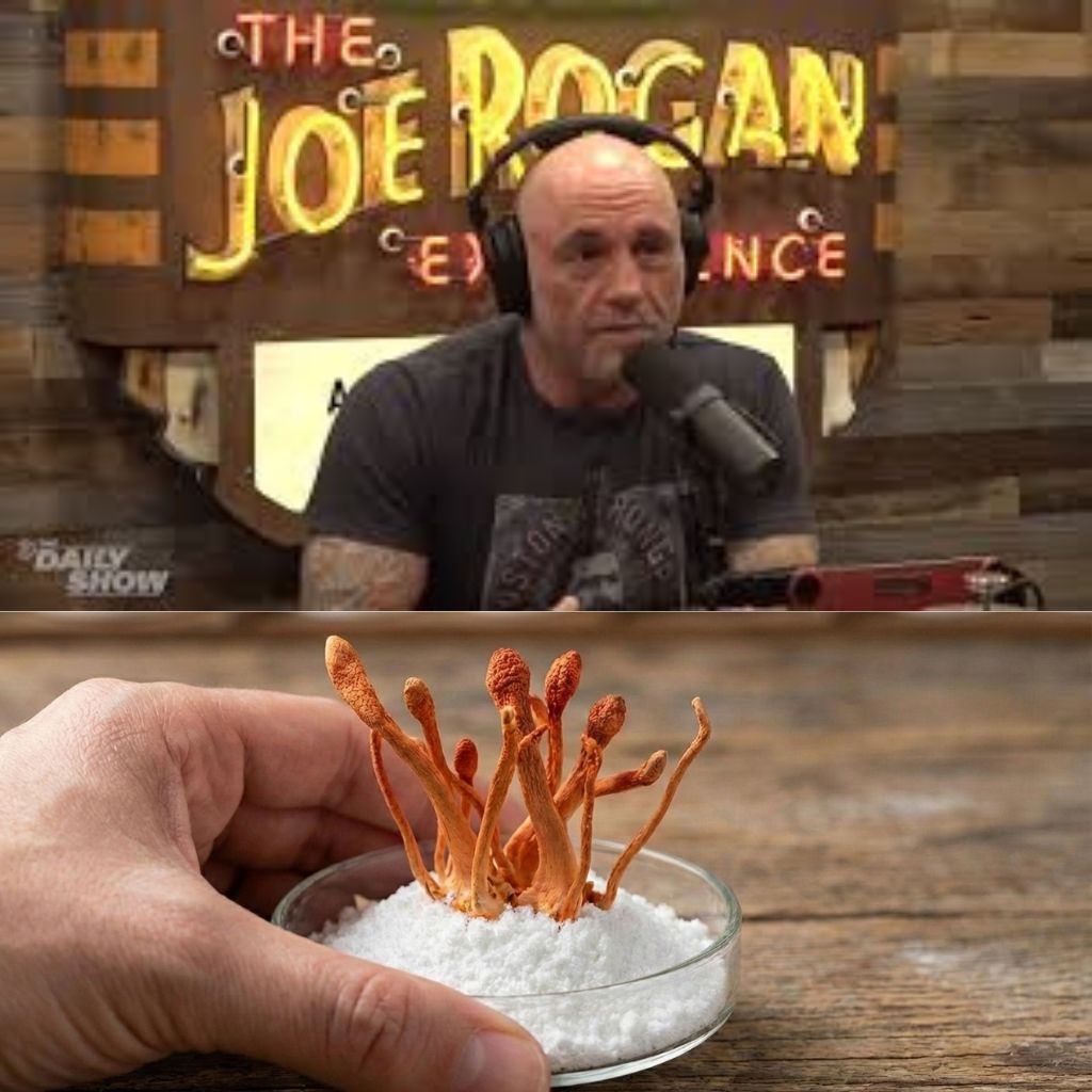 Dog house smell - Fragra diffuser